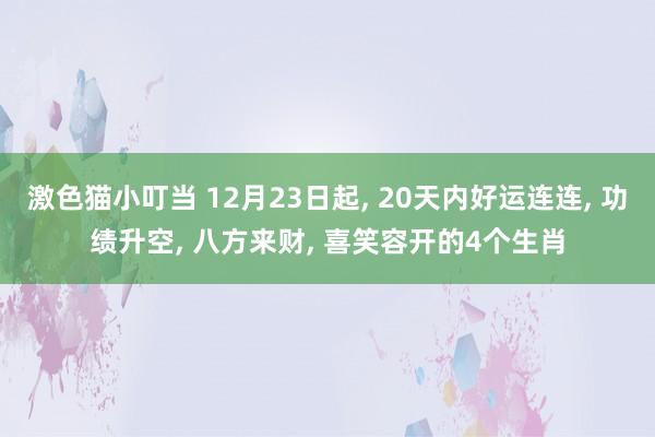 激色猫小叮当 12月23日起, 20天内好运连连, 功绩升空, 八方来财, 喜笑容开的4个生肖