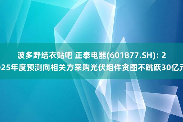 波多野结衣贴吧 正泰电器(601877.SH): 2025年度预测向相关方采购光伏组件贪图不跳跃30亿元