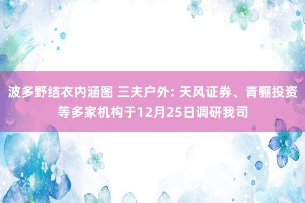 波多野结衣内涵图 三夫户外: 天风证券、青骊投资等多家机构于12月25日调研我司