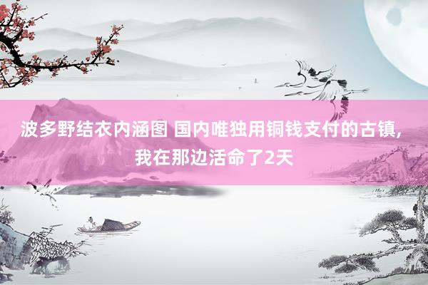 波多野结衣内涵图 国内唯独用铜钱支付的古镇, 我在那边活命了2天