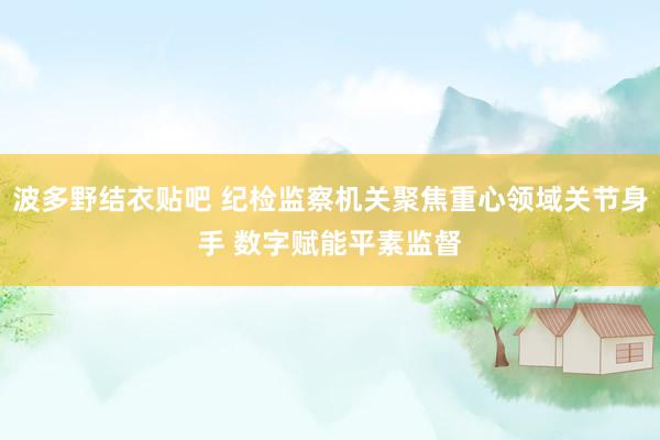 波多野结衣贴吧 纪检监察机关聚焦重心领域关节身手 数字赋能平素监督