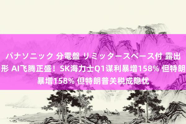 パナソニック 分電盤 リミッタースペース付 露出・半埋込両用形 AI飞腾正盛！SK海力士Q1谋利暴增158% 但特朗普关税成隐忧