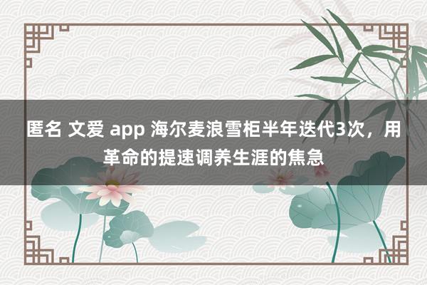 匿名 文爱 app 海尔麦浪雪柜半年迭代3次，用革命的提速调养生涯的焦急