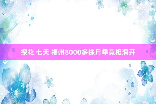 探花 七天 福州8000多株月季竞相洞开