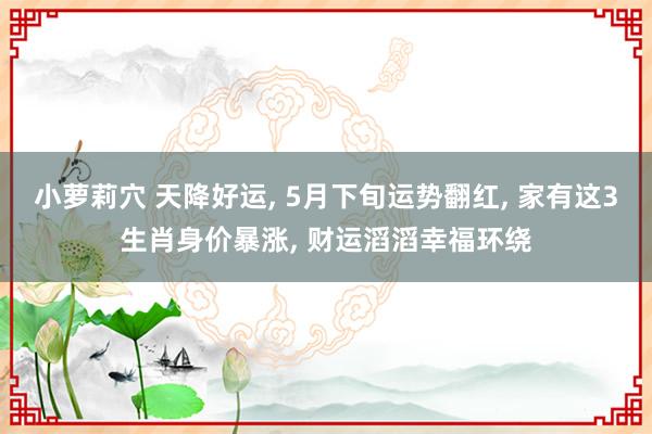 小萝莉穴 天降好运, 5月下旬运势翻红, 家有这3生肖身价暴涨, 财运滔滔幸福环绕